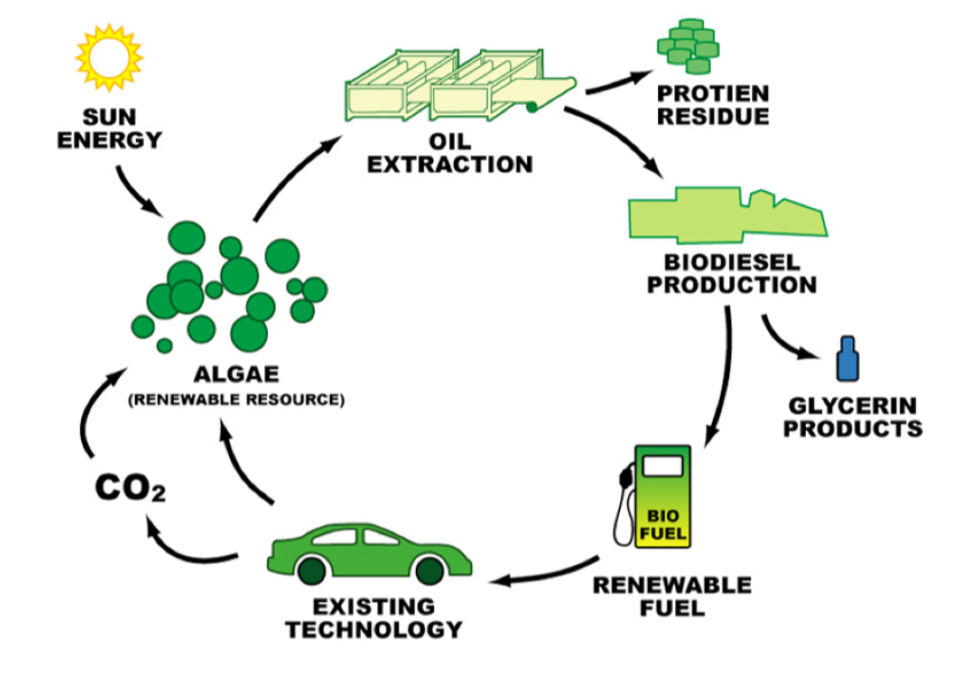 Biofuel